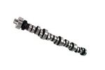 Camshaft, FW XR268 R-10